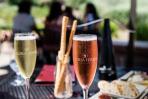 篮球世界杯感动，一场跨越时空的情感共鸣篮球世界杯感动