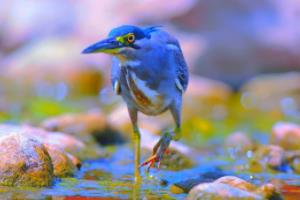 2026年世界杯赛程时间表，全球球迷的期待与期待世界杯赛程时间表2026年