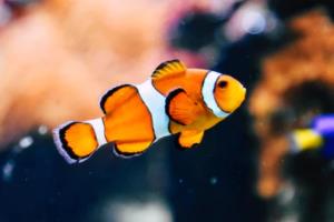 一次在南非，一生难忘的世界杯旅游体验世界杯旅游广告